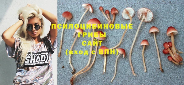 дурь Белоозёрский
