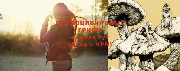 дживик Баксан