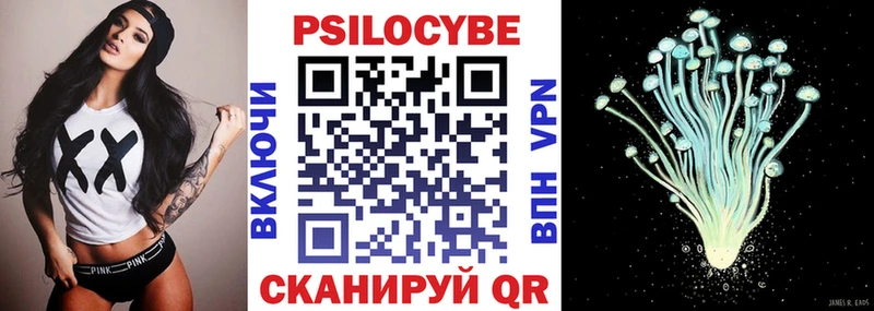 Псилоцибиновые грибы Psilocybine cubensis Озёрск
